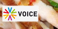 voice tv กล่าวถึงไก่ย่าง ชื่อดัง ของเมืองไทย